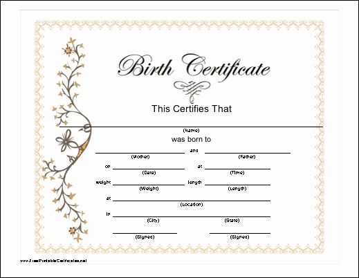 Official Birth Certificate Template Inspirational Blank Birth Certificate