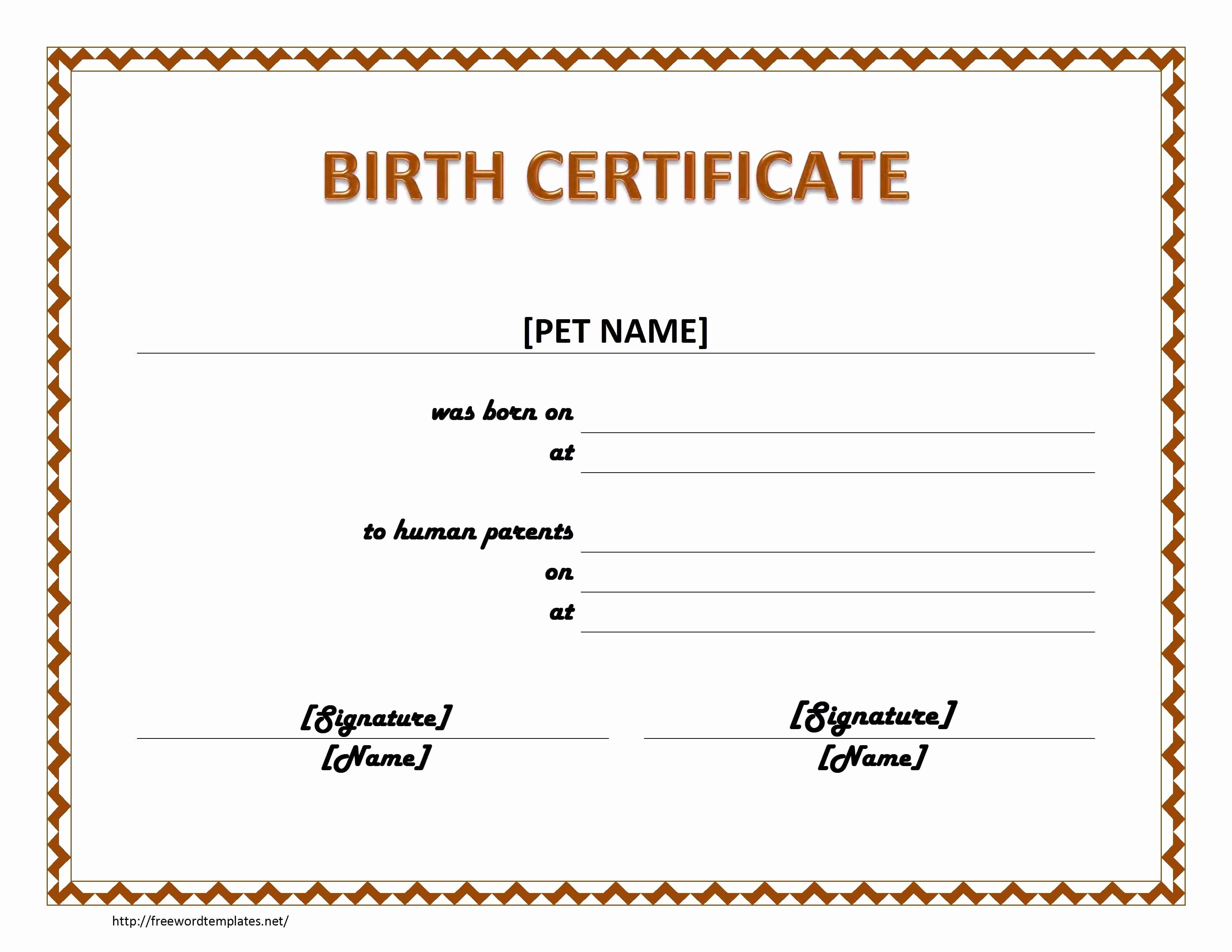 Official Birth Certificate Template New Ficial Birth Certificate Template Bamboodownunder