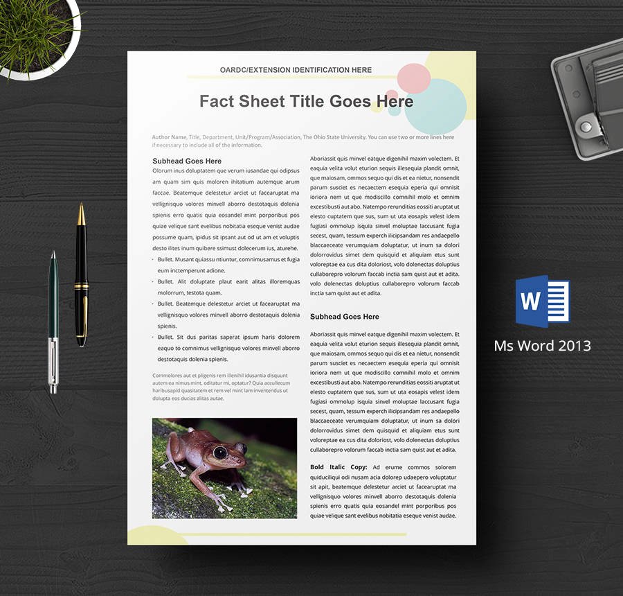 One Sheet Template Free Beautiful 8 Free Fact Sheet Templates Survey Campaign