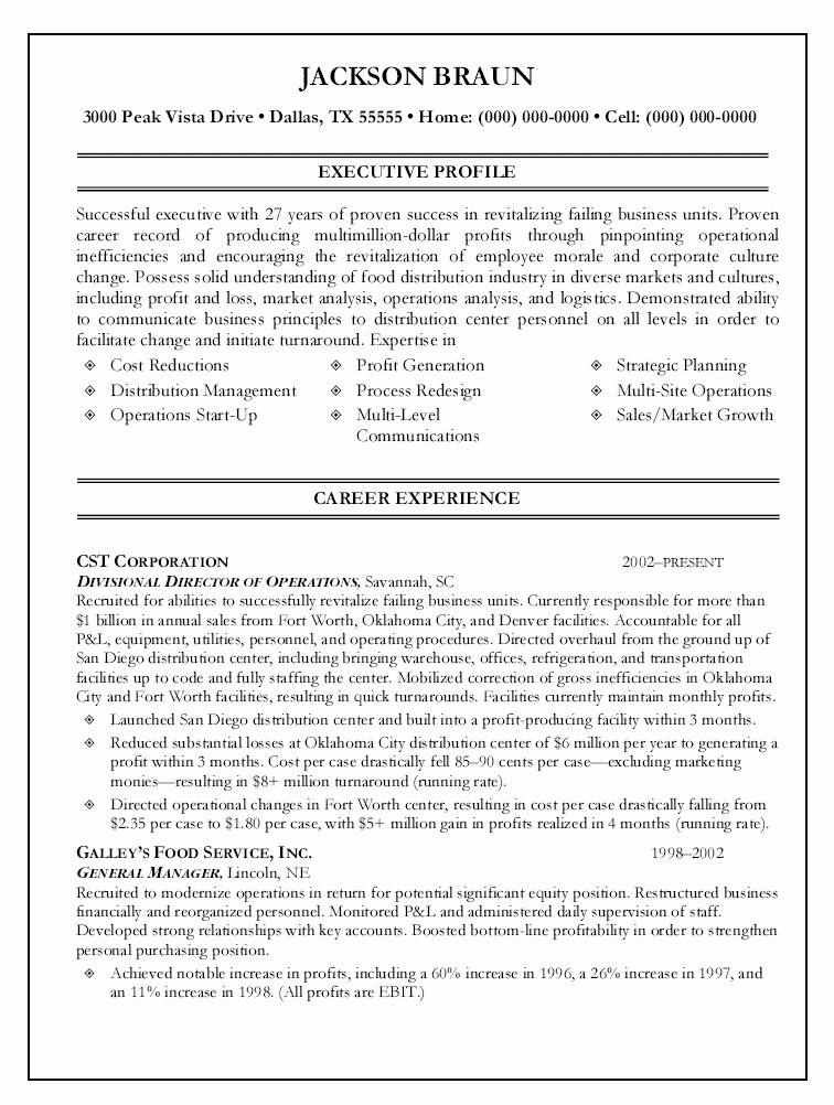 Operation Manager Resume Template Lovely 12 It Director Resume Sample