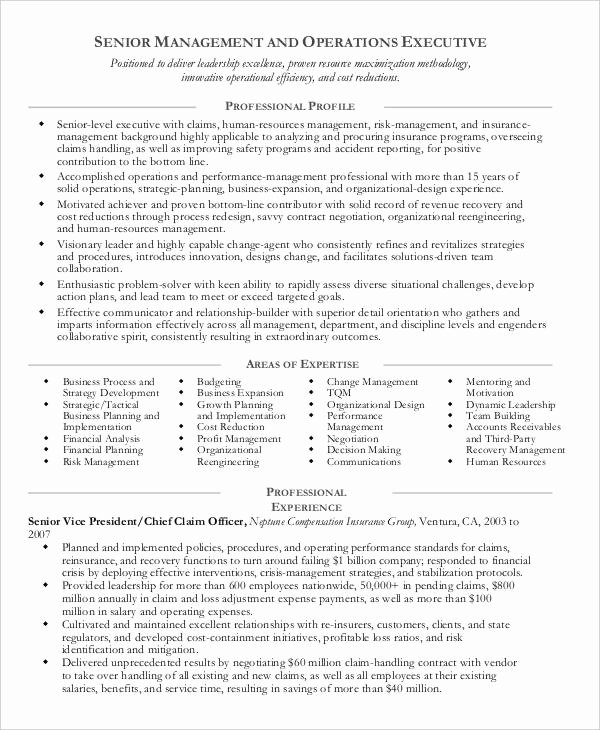 Operation Manager Resume Template Luxury 49 Professional Manager Resumes Pdf Doc