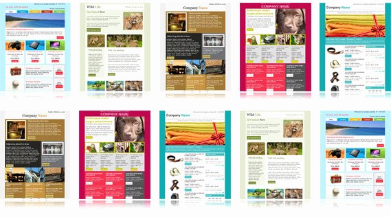 Outlook Email Newsletter Template Best Of 900 Free Responsive Email Templates to Help You Start