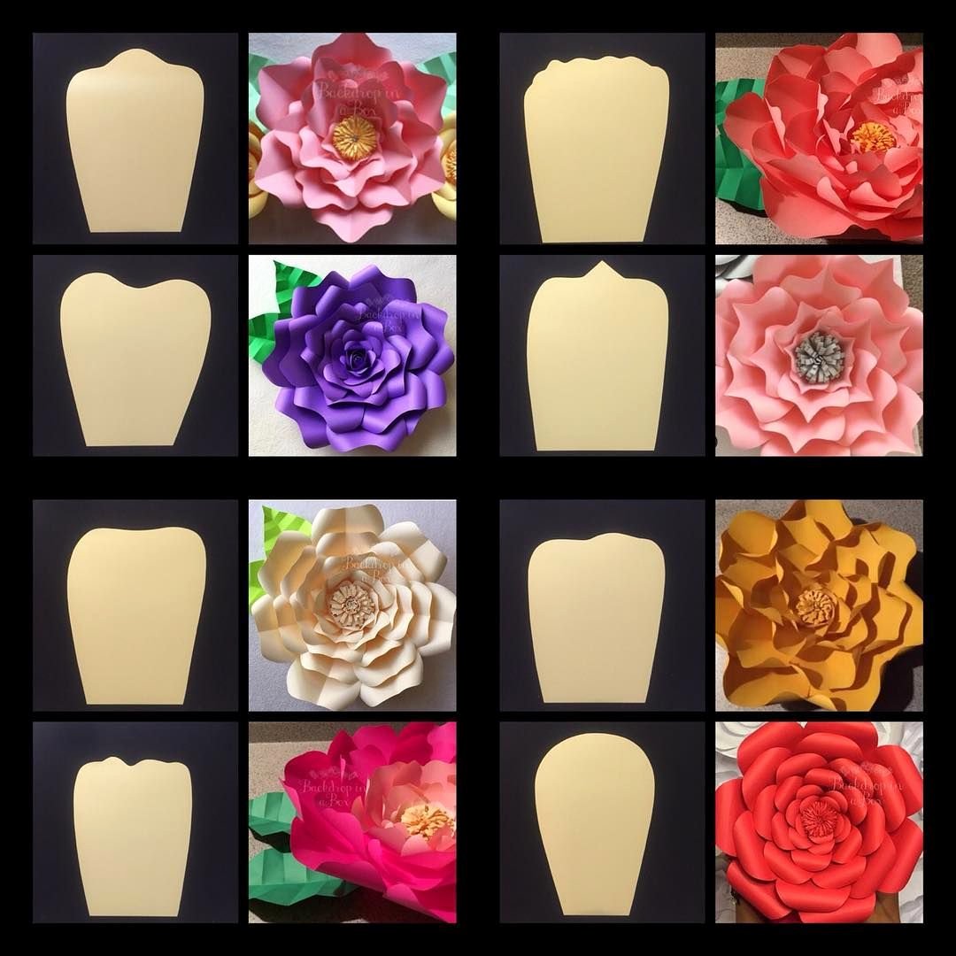 Paper Flower Backdrop Template Best Of Consulta Esta Foto De Instagram De Backdropinabox • 640