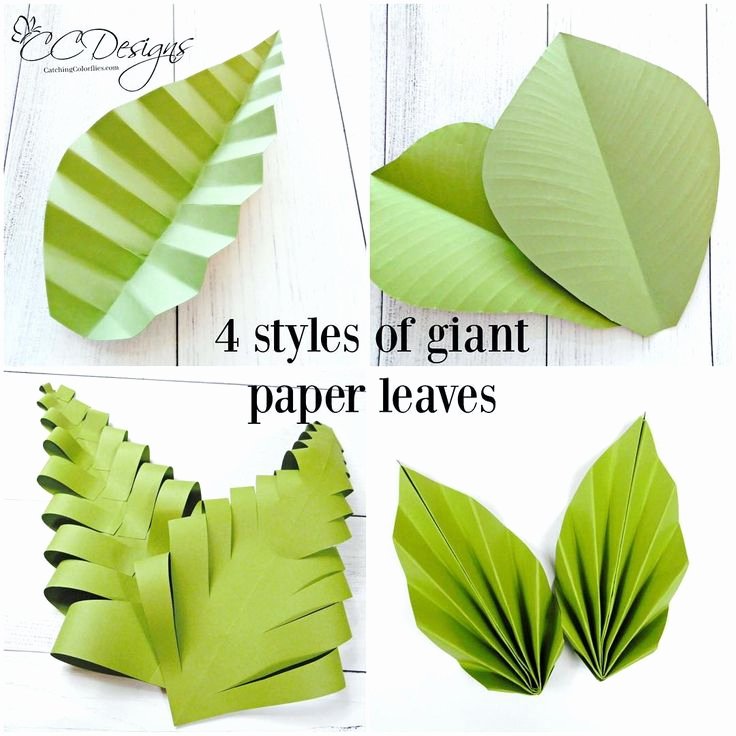 Paper Flower Leaf Template Beautiful 25 Best Ideas About Giant Paper Flowers On Pinterest