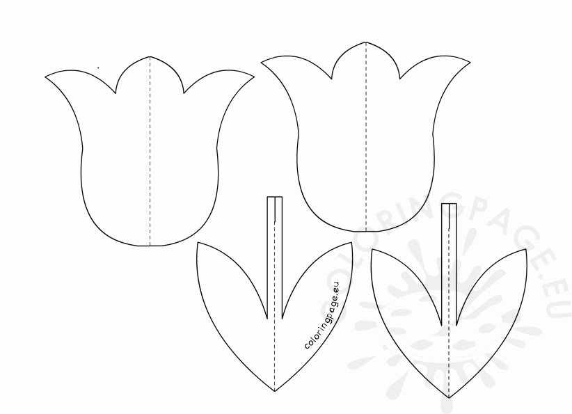 Paper Flower Template 3d Beautiful 3d Tulip Flower Template – Coloring Page