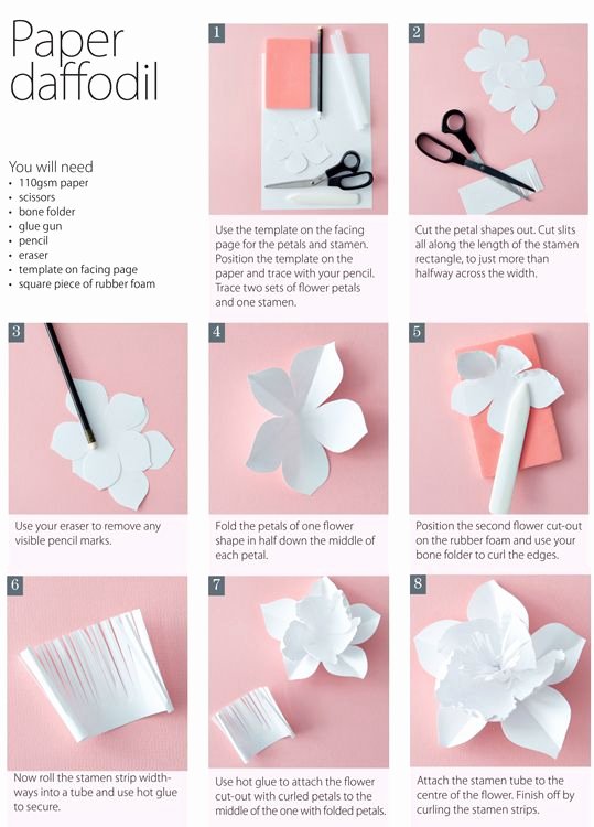 Paper Flower Template 3d New 47 Best Images About Daffodils On Pinterest