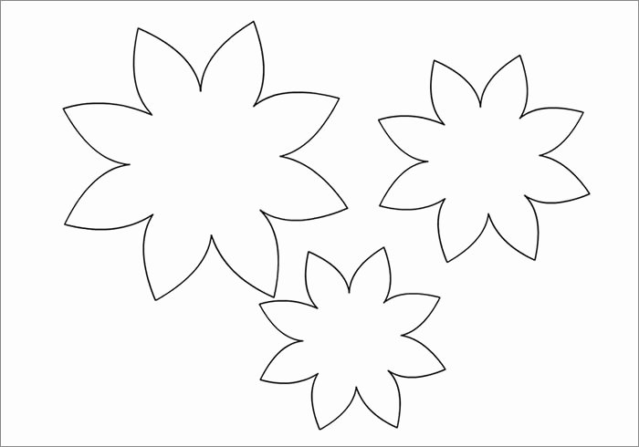 Paper Flower Template Free Best Of Flower Template Free Templates