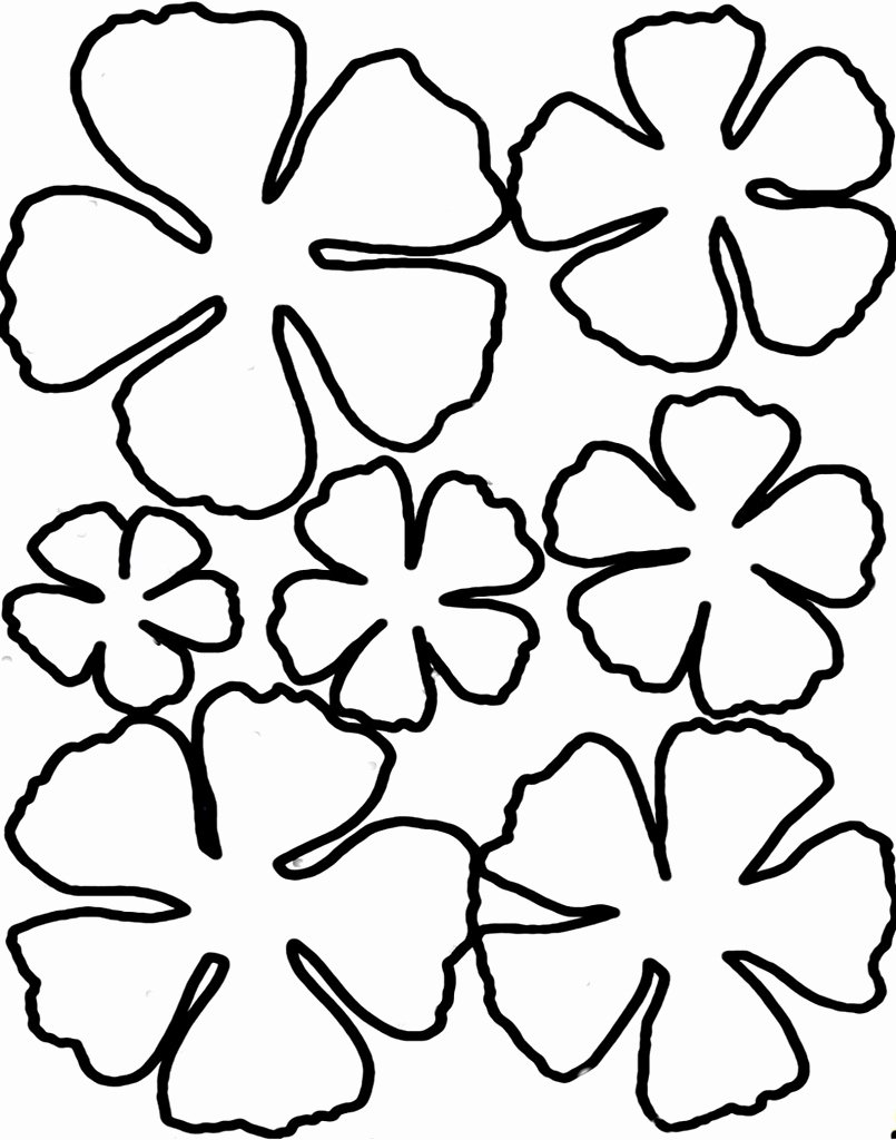 Paper Flower Template Free Elegant Printable Flower Petal Template Clipart Best