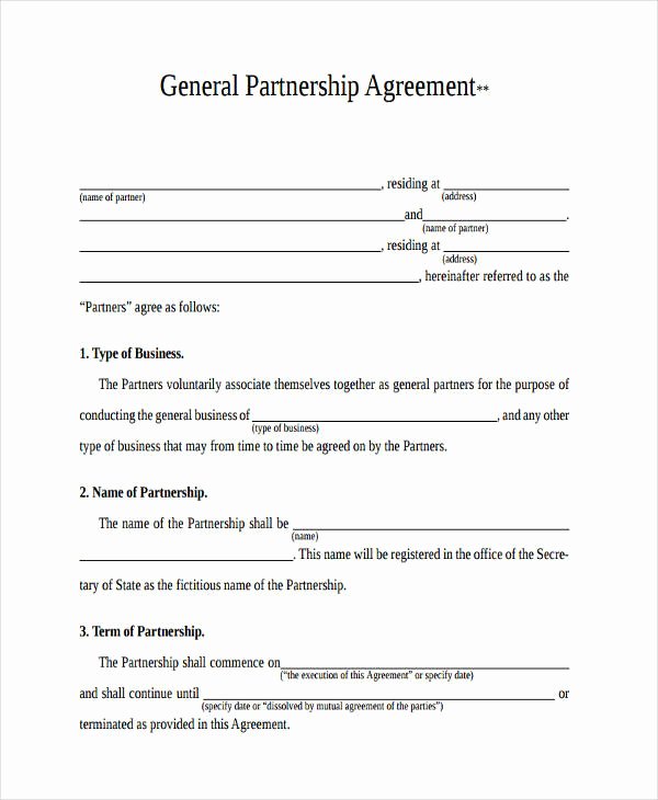 Partnership Agreement Template Pdf Fresh 49 Examples Of Partnership Agreements