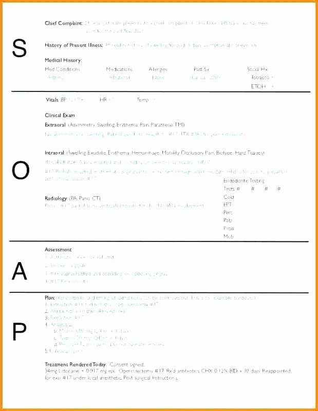 Pediatric soap Note Template Elegant Free soap Note Template Hospital Notes Nhs Examples