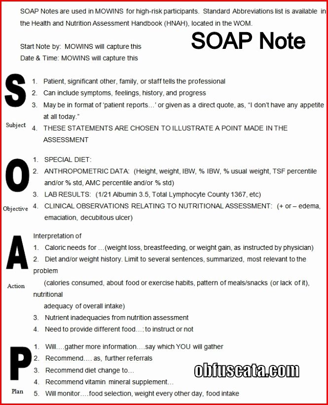 Pediatric soap Note Template Fresh What is A soap Note