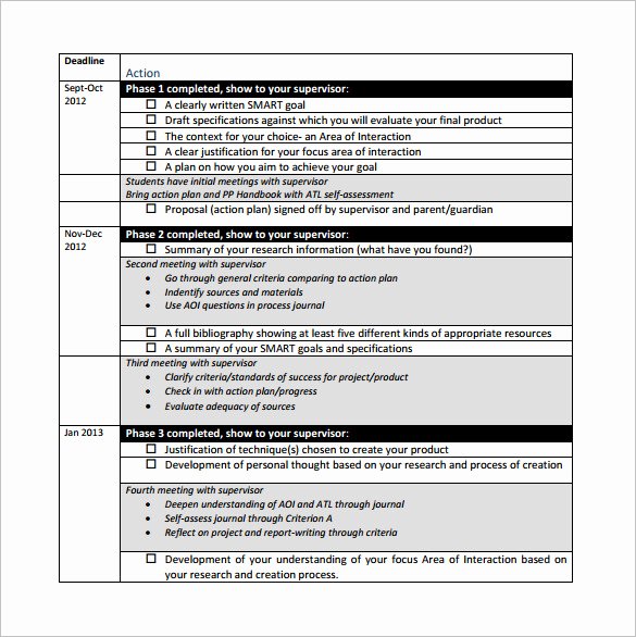 Personal Action Plan Template Fresh Project Action Plan Template 11 Free Pdf Word format