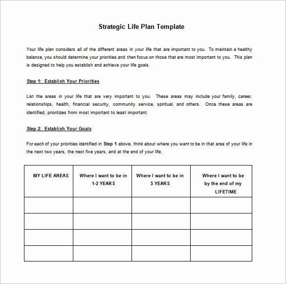Personal Action Plan Template New Strategic Action Plan Template 14 Free Pdf Word format