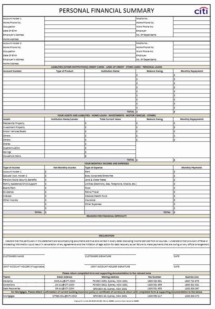 Personal Financial Statements Template Awesome 40 Personal Financial Statement Templates &amp; forms