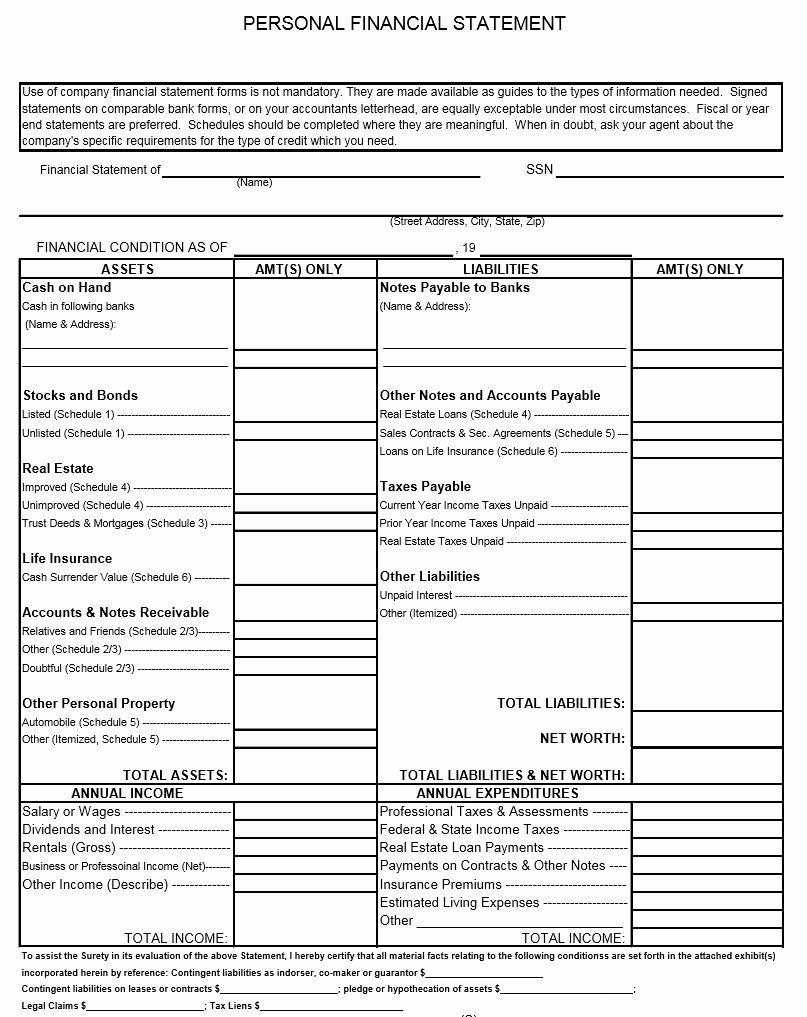 Personal Financial Statements Template Awesome Individual Personal Financial Statement form
