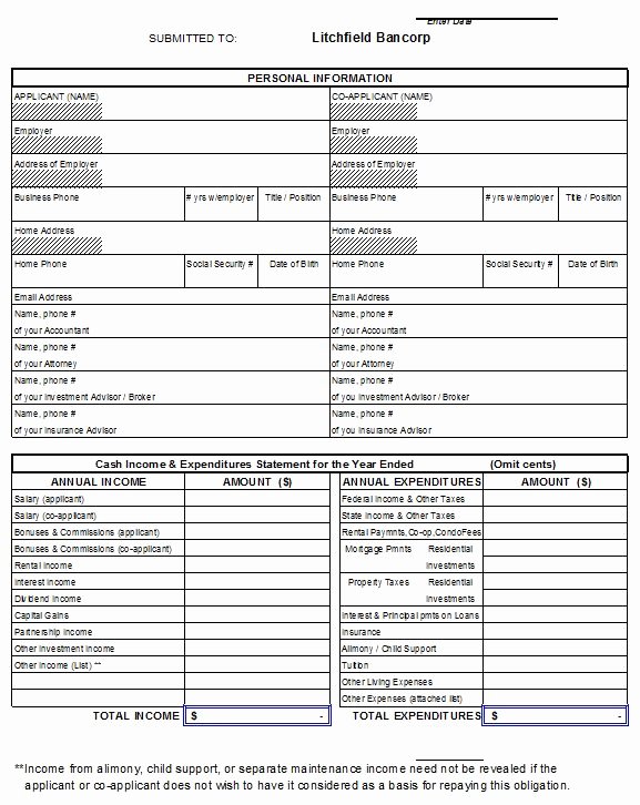 Personal Financial Statements Template Fresh 40 Personal Financial Statement Templates &amp; forms
