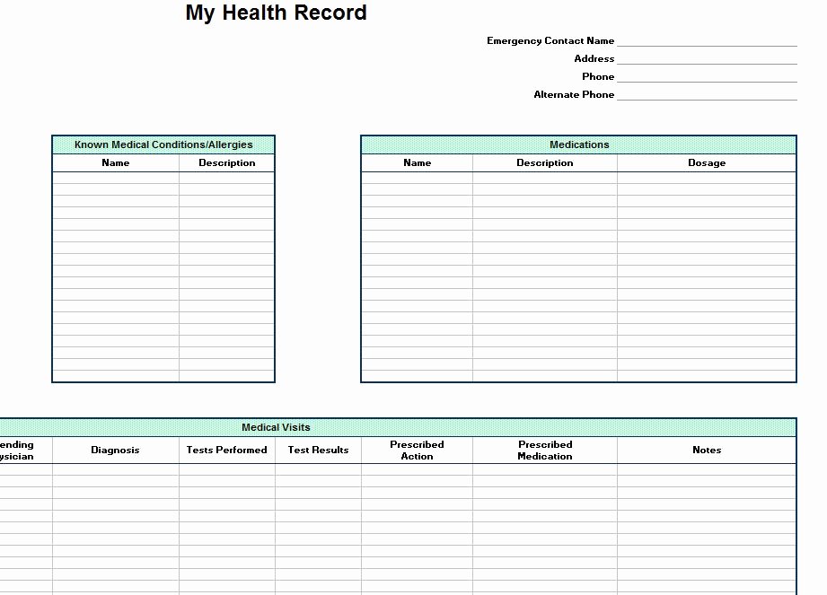 Personal Medication List Template Lovely Personal Health Record Template
