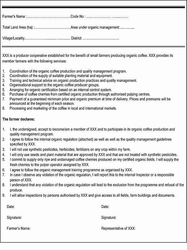 Personal Training Contract Template Lovely 1000 Ideas About Cleaning Contracts On Pinterest