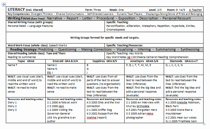 Personalized Learning Plan Template Awesome Professional Learning Plan Template to Pin On
