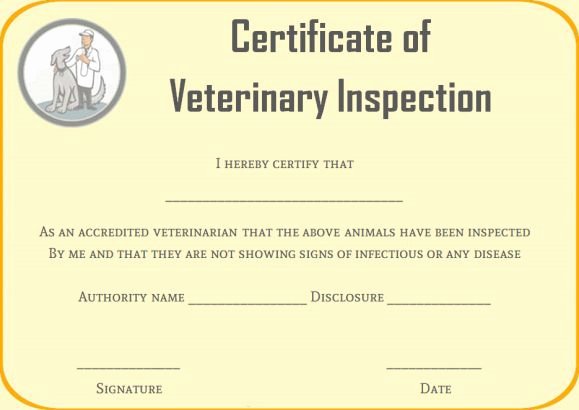 Pet Health Certificate Template Elegant Pet Health Certificate Template 9 Word Templates to