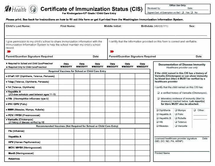 Pet Vaccination Record Template Best Of Vaccination Record form Template Inspirational