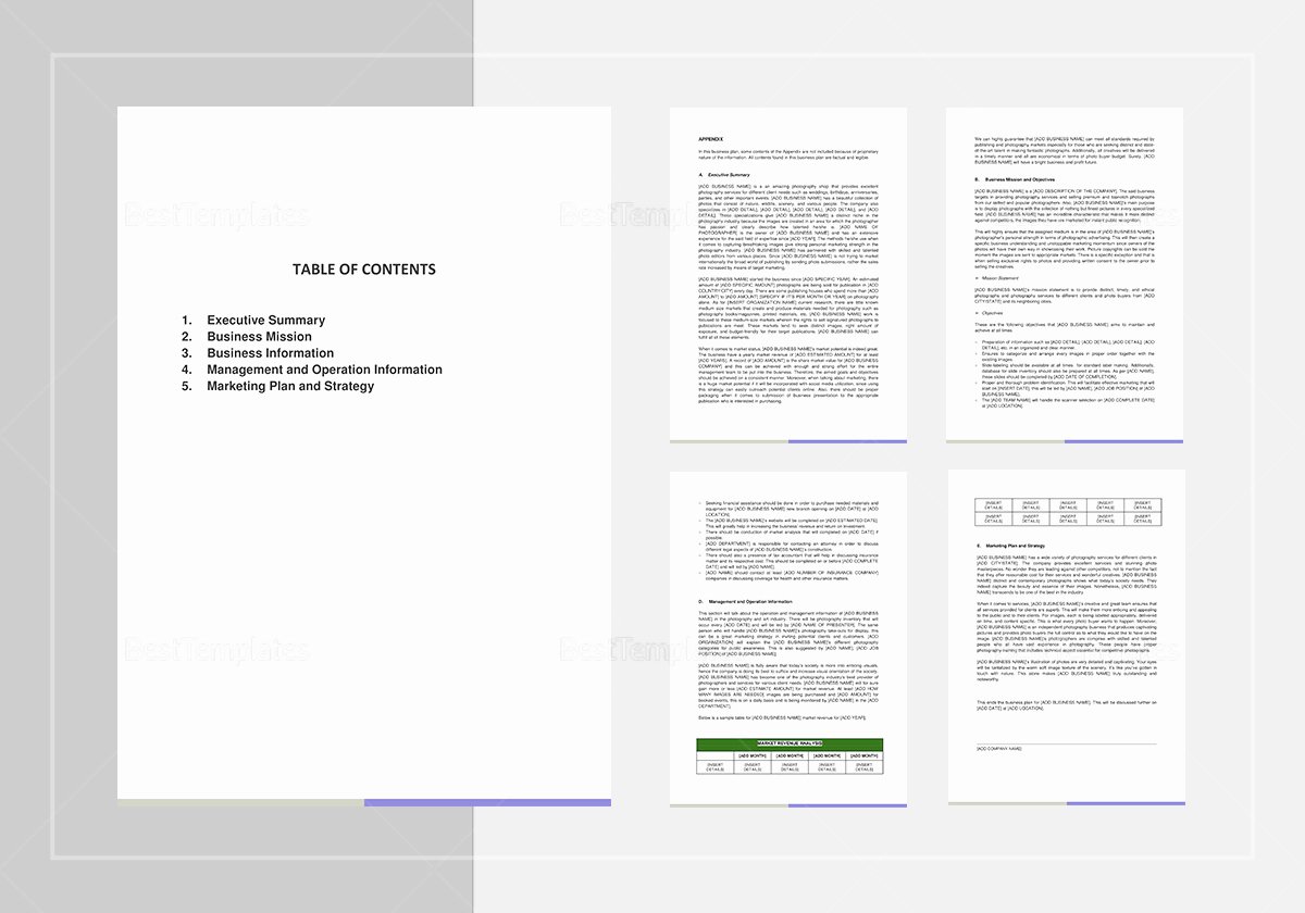 Photography Business Plan Template Lovely Graphy Business Plan Template In Word Google Docs
