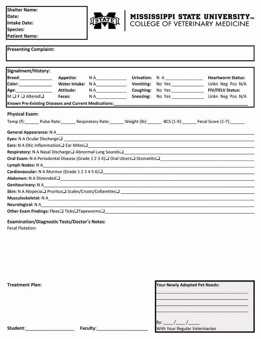 Physical Exam form Template Inspirational Physical Examination form the Physical Examination form