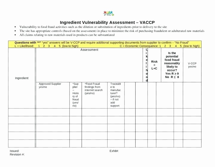 Physical Security assessment Template Inspirational Risk Report Template