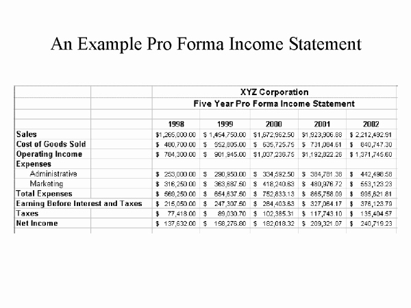 Pro forma Budget Template Inspirational 6 Pro forma Financial Statements Example