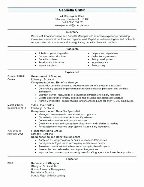 Professional Compensation Plan Template Best Of Incentive Proposal Template – Angliangfo