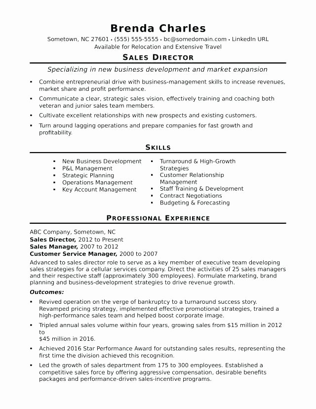 Professional Compensation Plan Template Lovely Best Professional Pensation Plan Template Incentive
