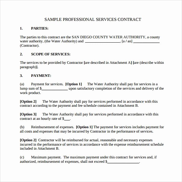 Professional Services Contract Template Awesome 14 Basic Contract Templates – Samples Examples &amp; format