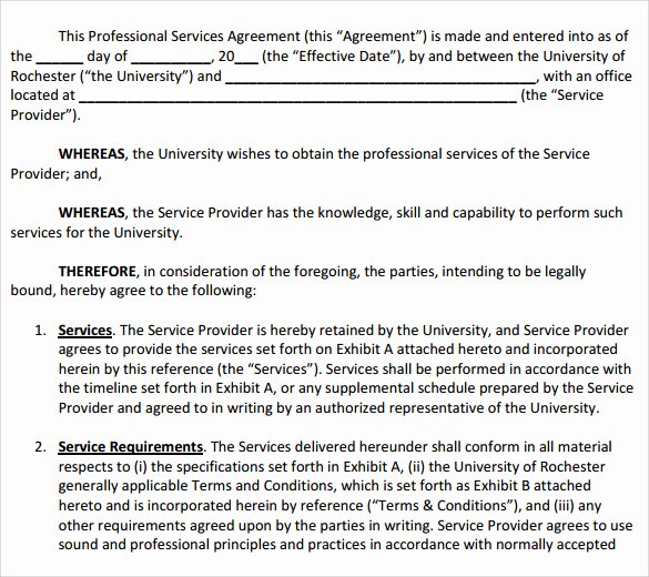 Professional Services Contract Template Beautiful Sample Professional Services Agreement 12 Free In Pdf Word