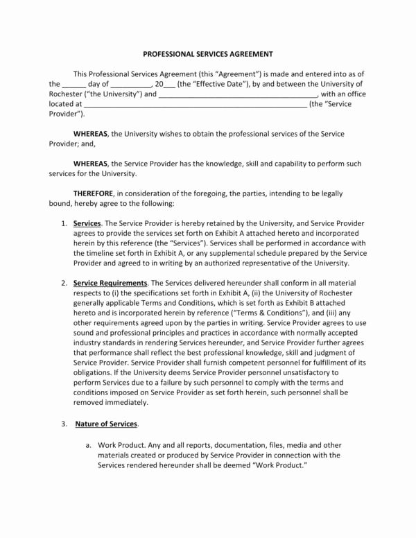 Professional Services Contract Template Elegant 17 Terms Of Service Agreement Samples &amp; Templates Pdf Word