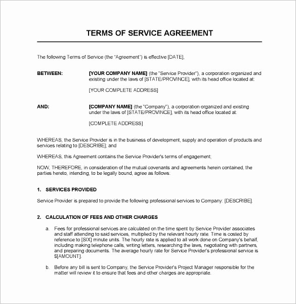 Professional Services Contract Template Fresh Service Contract Templates – 14 Free Word Pdf Documents