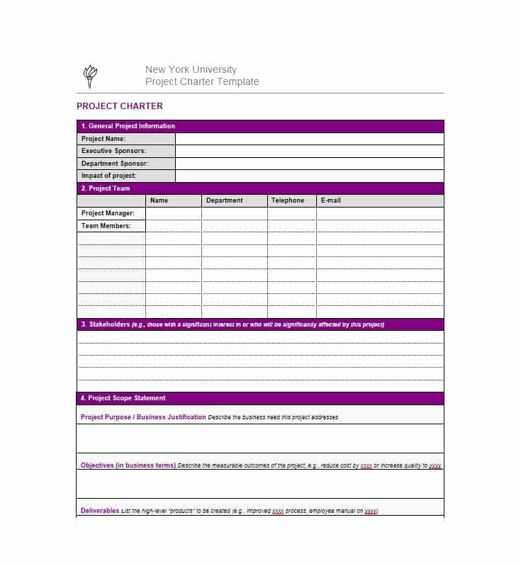 Project Charter Template Excel Fresh 40 Project Charter Templates &amp; Samples [excel Word