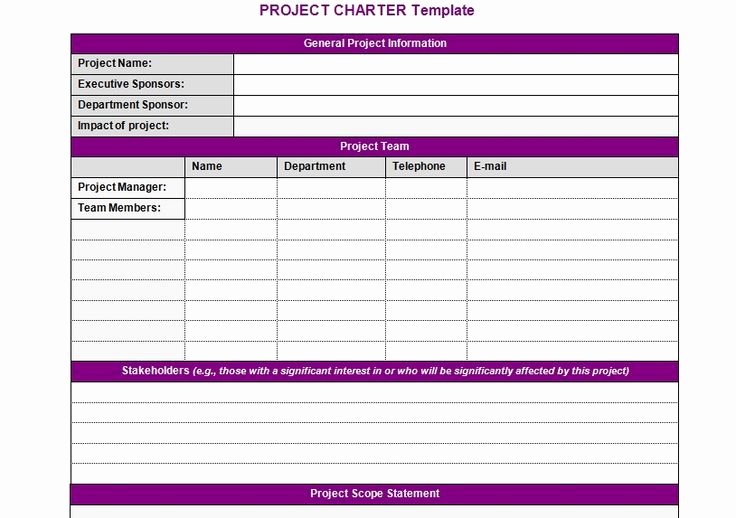 Project Charter Template Excel New Project Charter Template Projectemplates