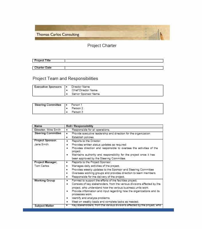 Project Charter Template Word Elegant 40 Project Charter Templates &amp; Samples [excel Word