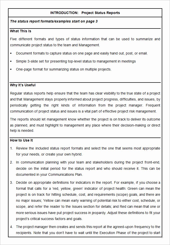 Project Management Report Template Luxury Sample Project Status Report Template 10 Free Word Pdf