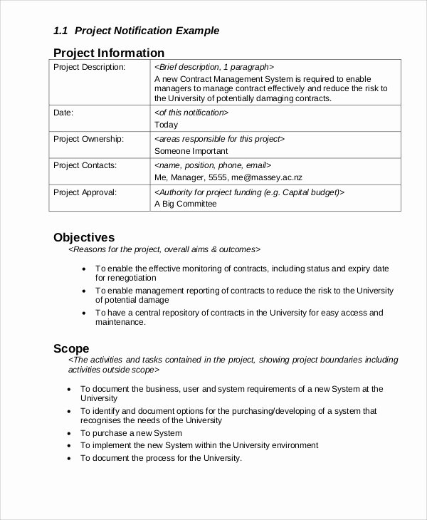 Project Management Report Template New 12 Sample Project Management Reports