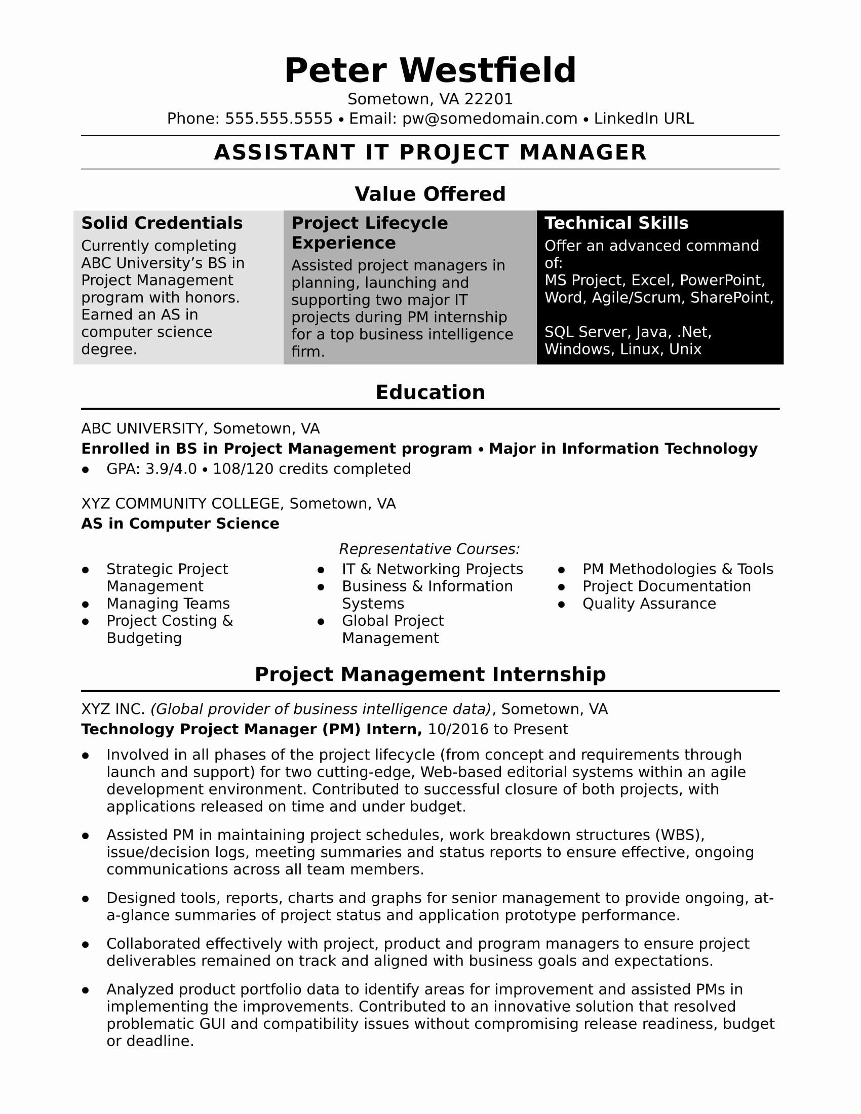 Project Manager Resume Template New Sample Resume for An assistant It Project Manager