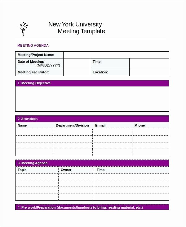 Project Meeting Minutes Template Luxury Sample Minutes Template Good Meeting Best Documentation