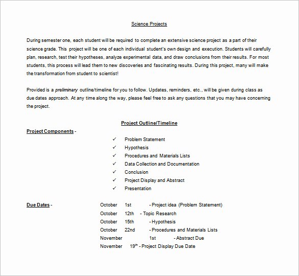 Project Outline Template Word New Project Outline Template 8 Free Sample Example format