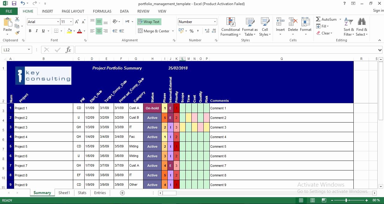 Project Portfolio Management Template Fresh Download Project Portfolio Management Excel Template