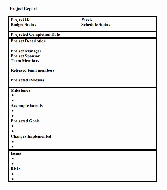 Project Report Template Word Best Of 14 Sample Project Status Reports – Pdf Word Pages