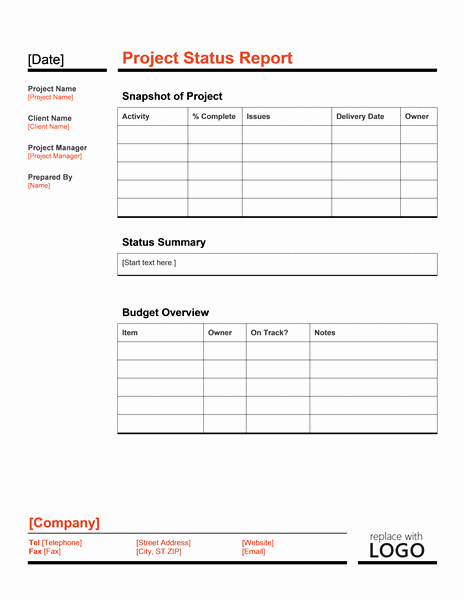 Project Report Template Word Elegant Project Status Report Template Word Templates