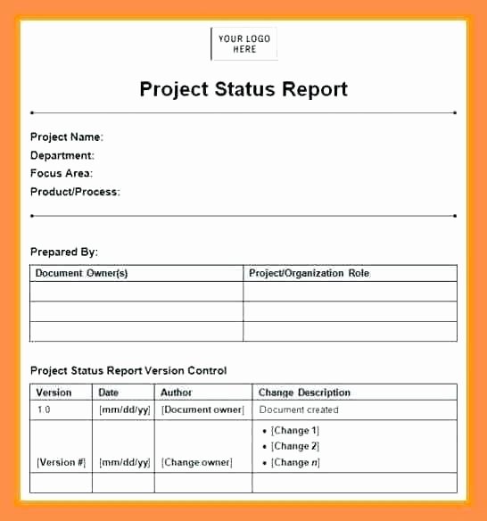 Project Report Template Word Inspirational Work Status Report Template Monthly Project Report