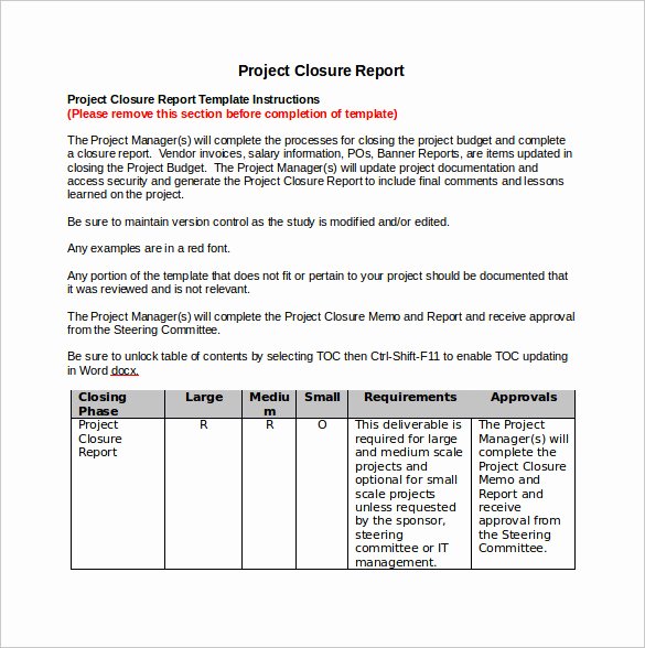 Project Report Template Word Lovely 9 Sample Project Closure Report Template Examples