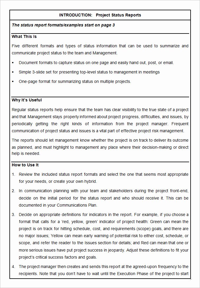 Project Report Template Word Unique 17 Project Template Doc Pdf Ppt