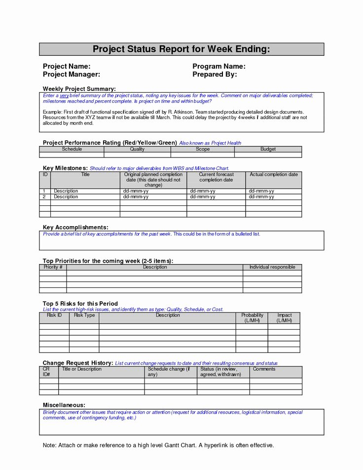 Project Status Report Template Awesome Best 25 Project Status Report Ideas On Pinterest